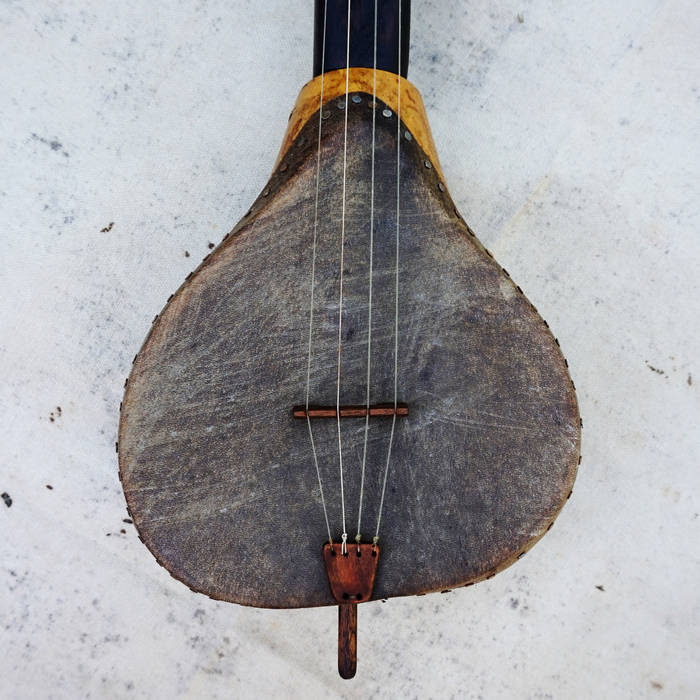 Johnson banjo best sale