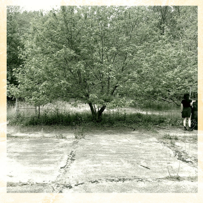 Paper kites bandcamp picture