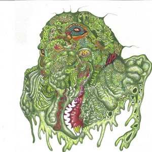 Music From the Other Side of the SwampTimmy Vulgar's Genetic Armageddon. 15 songs available Vinly only cover