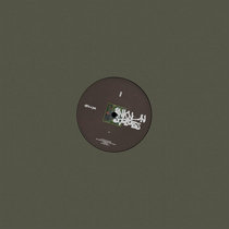 djfix & Jek — unknown species