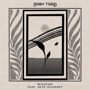 WildfireJosh Teed feat. Skye Silansky cover
