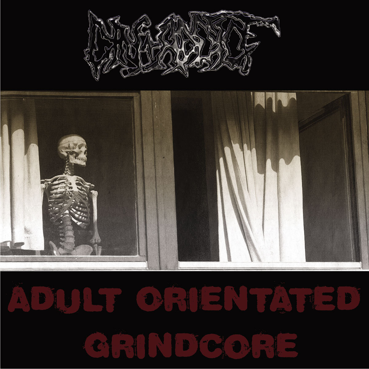 AxCx/INSULT - Split【CD】グラインドコア grindcore splits.jpg