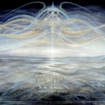 Focus | Cynic
