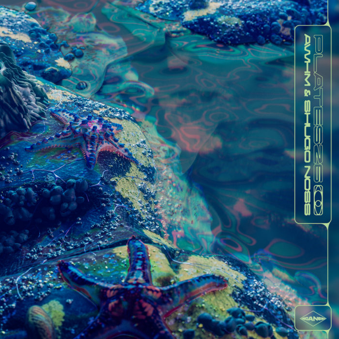 Pochette de PLATES26: AWHM & Shugo Noss par MEGANESIA