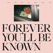 Forever You'll Be Known cover art
