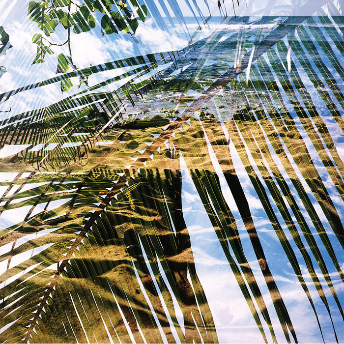 Dogs on Acid — Photo