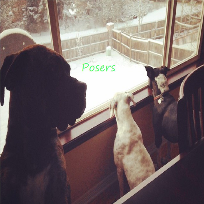 Posers cover