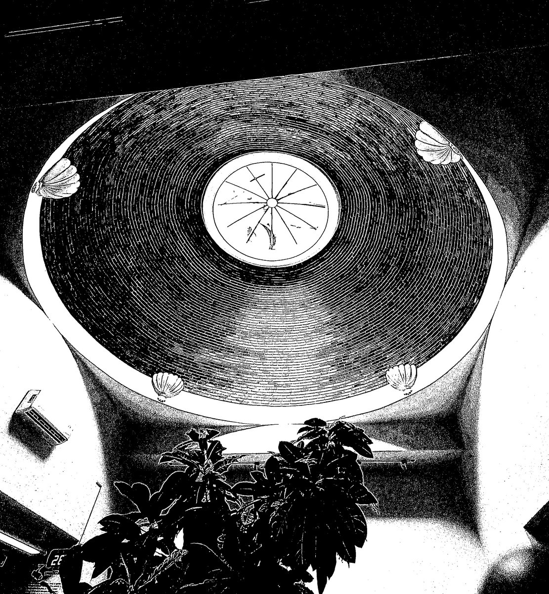 Don't run away wakai Wakai