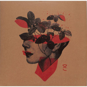 Shonky — Aciido
