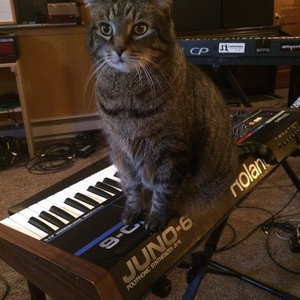 Timmy Dakota cover