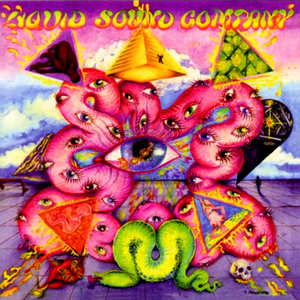 Exploring The Psychedelic cover