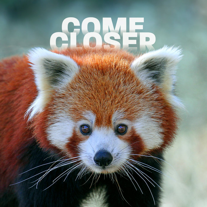 Psylla Closer Edit) [FREE DOWNLOAD] Glass Animals Come Closer
