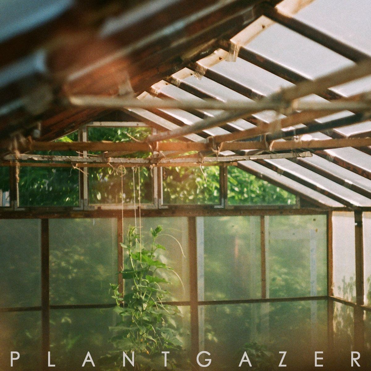 Plantgazer | Show Me a Dinosaur