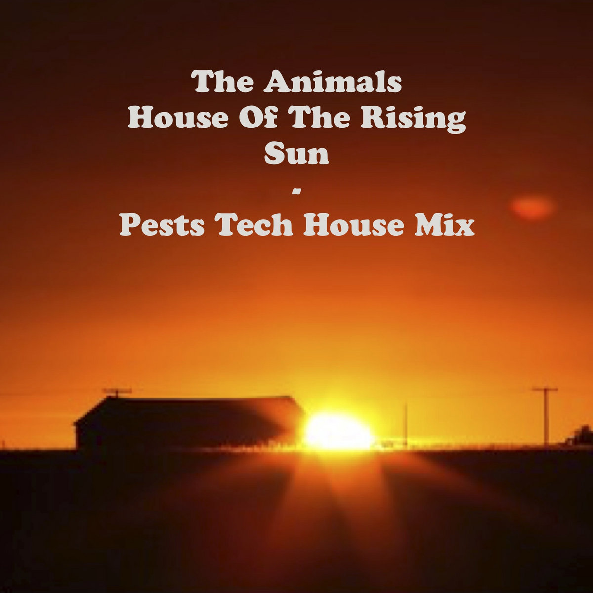 House Of The Rising Sun (Pests Tech House Remix) | The Animals | Pest_UK