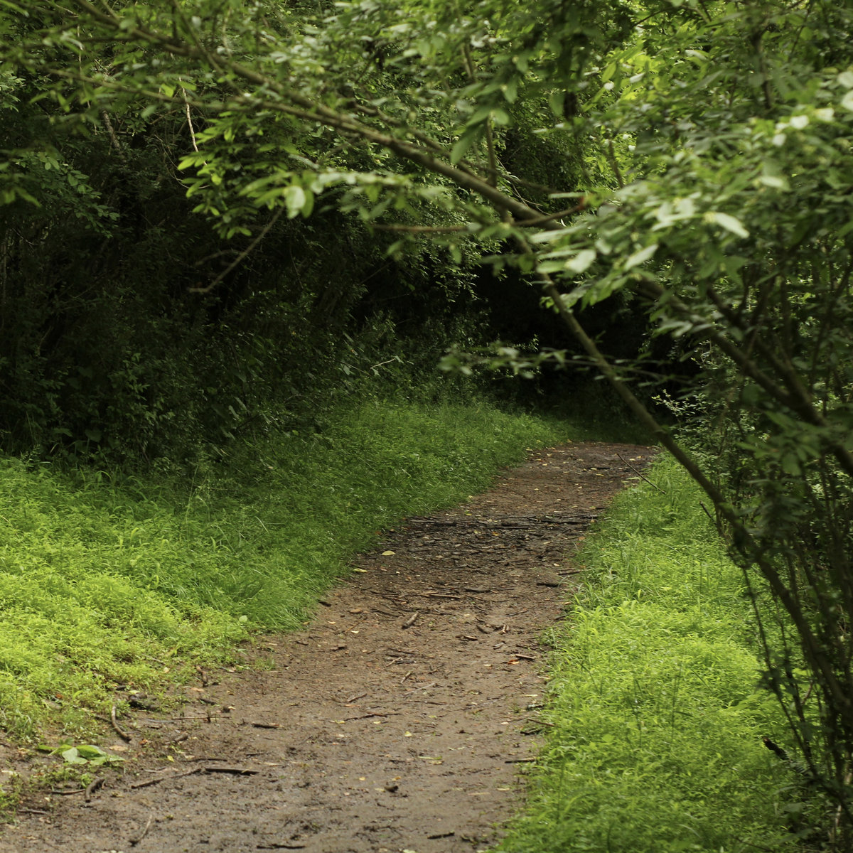 Andrei Tarkovsky (Nostalghia) ShedSounds Colouratura