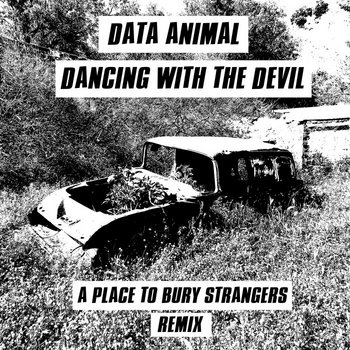 Music | DATA ANIMAL