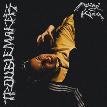 cover art