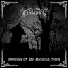 Mysteries Of The Nocturnal Forest