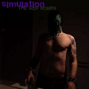 SIMULATION cover