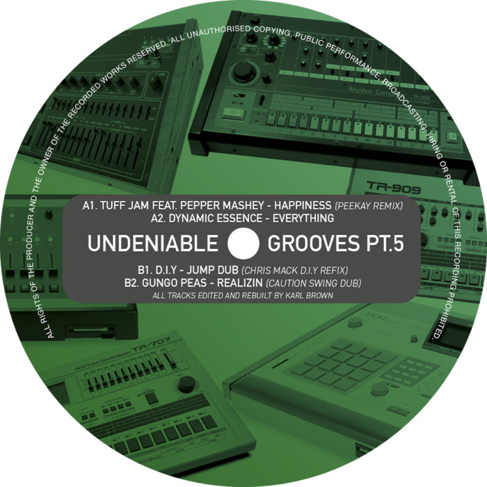 Pochette de UNDENIABLE GROOVES PT.5 par Various Artist