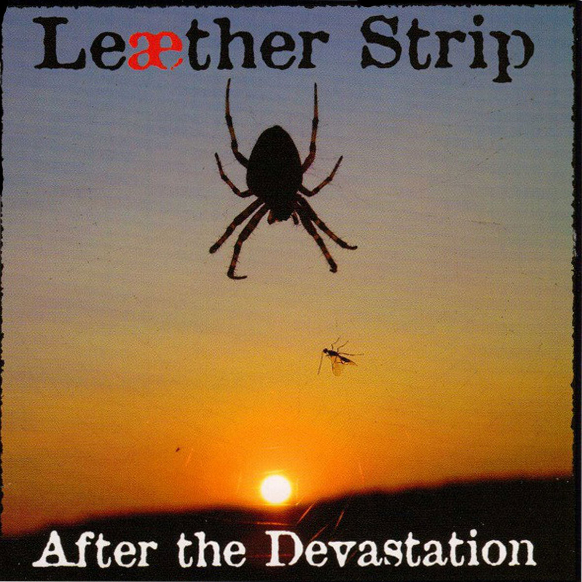 After the devastation