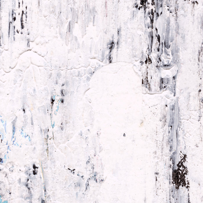 The Primitive Streak S.B. Project Steve Bicknell