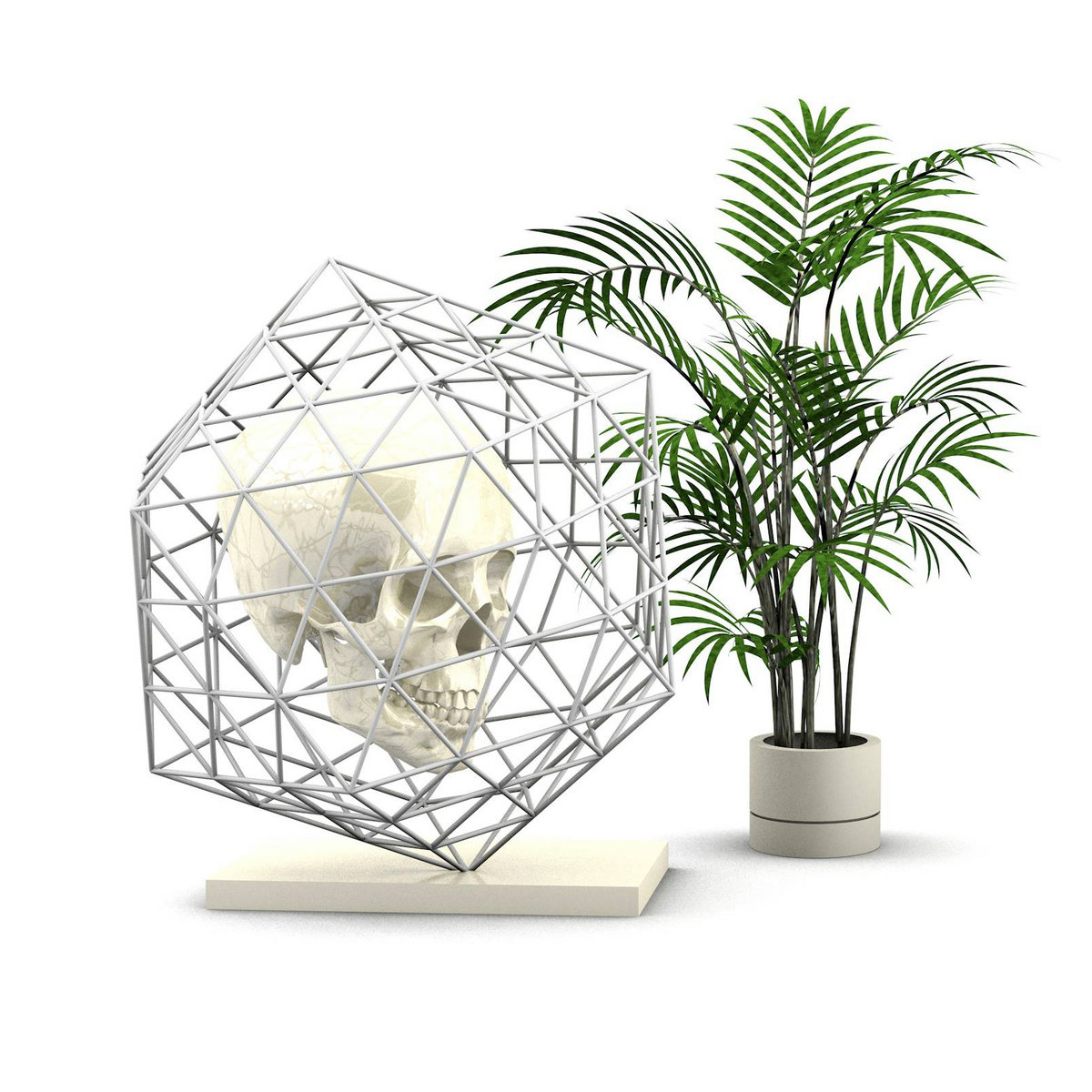 CAPITAL CUSTOMER​ by PZA