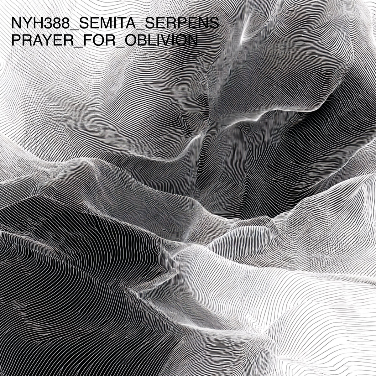 洋楽 SEMI 13/LA CALAVERA NO ESPERA 洋楽 SEMI 13/LA CALAVERA NO ESPERA Steebossnikka - Apple Music