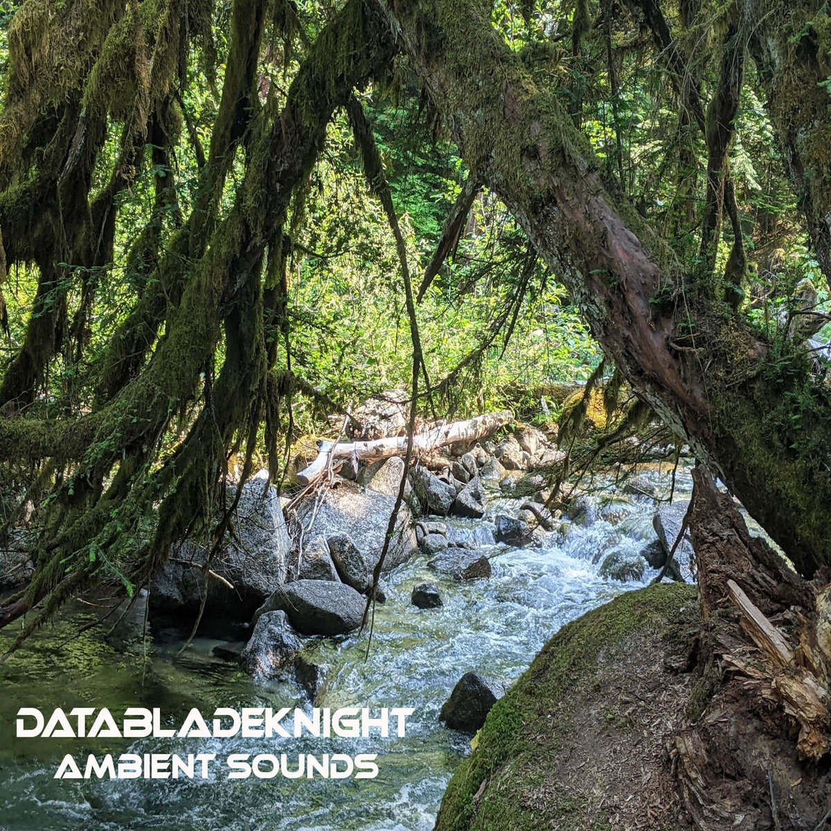 Ambient Sounds | DataBladeKnight