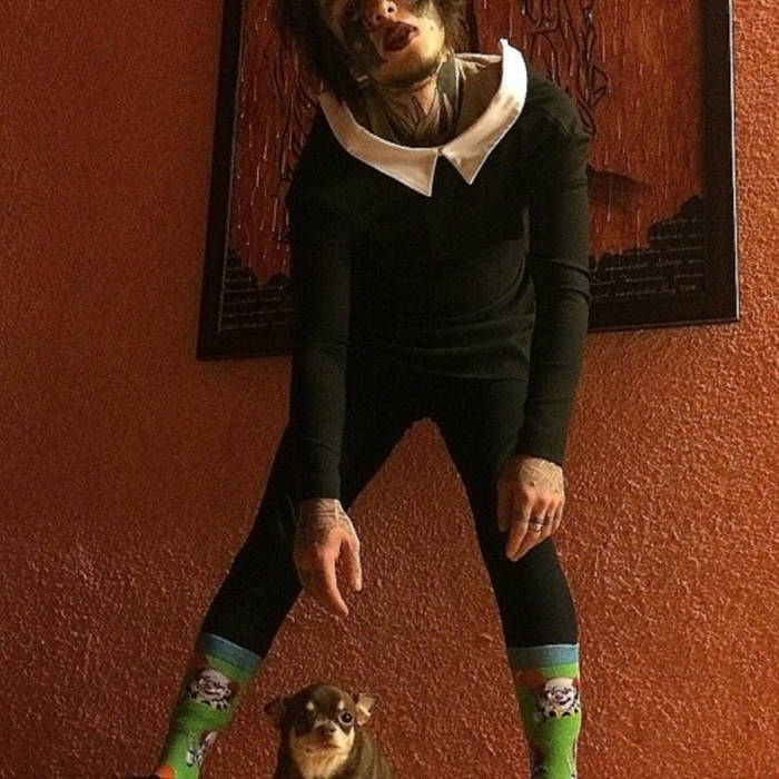 Проект автостопом по фазе сна