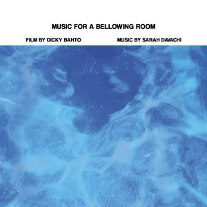Sarah Davachi — Music For A Bellowing RoomSarah Davachi and Dicky Bahto