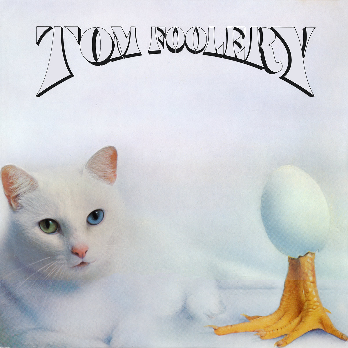 Tom Foolery The TOMS