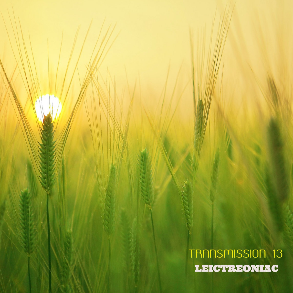 Leictreonaic cover