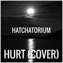 Hurt (NIN Cover) feat. Robb Rourke [Instrumentals] cover art
