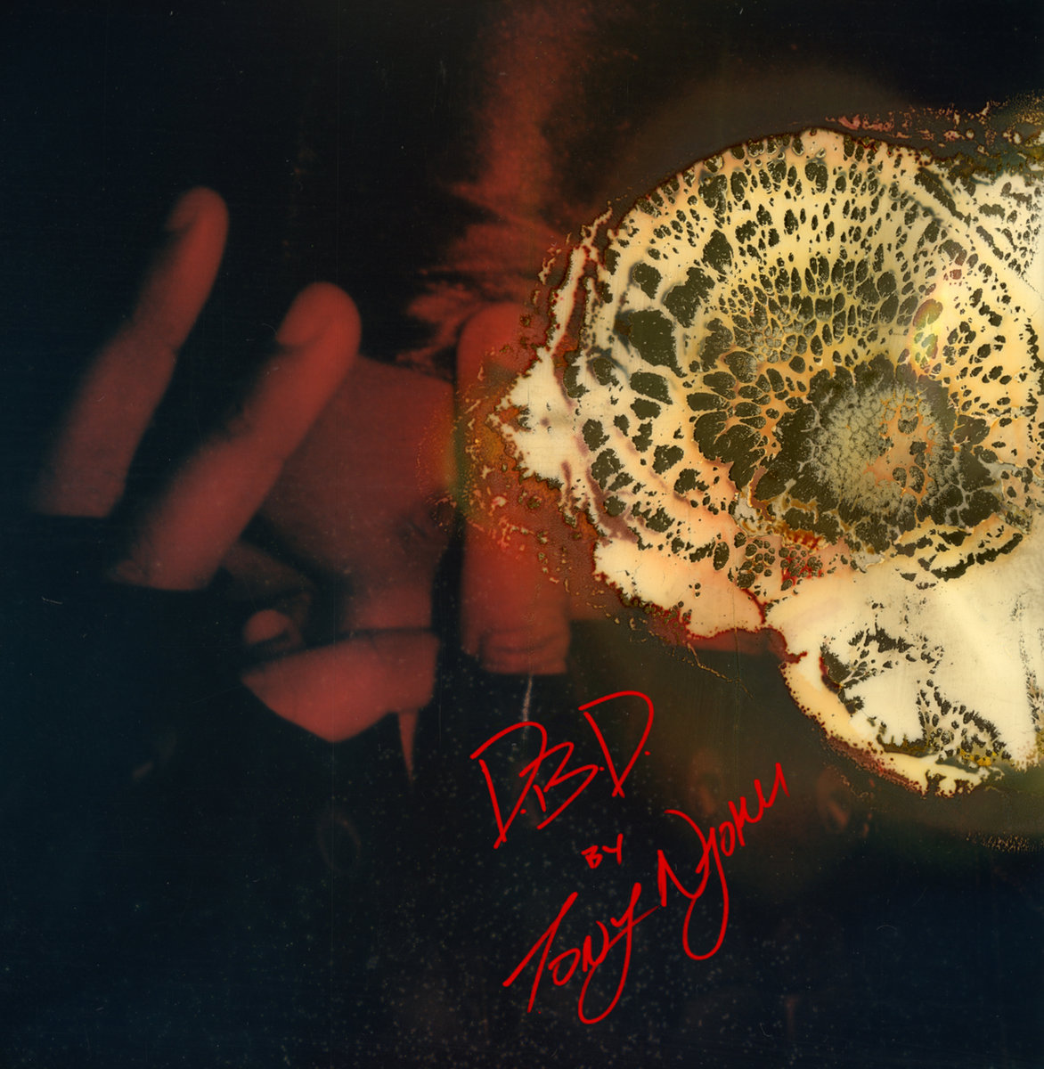 The First Death by Dimitris Lyacos The First Death by Dimitris Lyacos