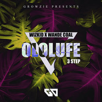 Ololufe [3 Step] cover art