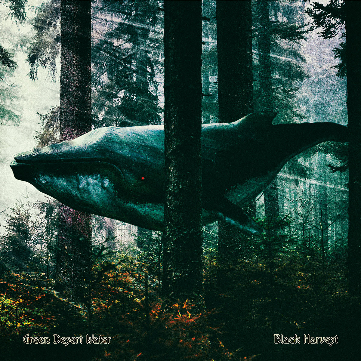 Black Harvest Cover
