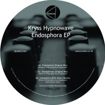 Endosphora EP cover art