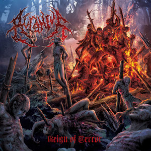 Reign Of Terror cover