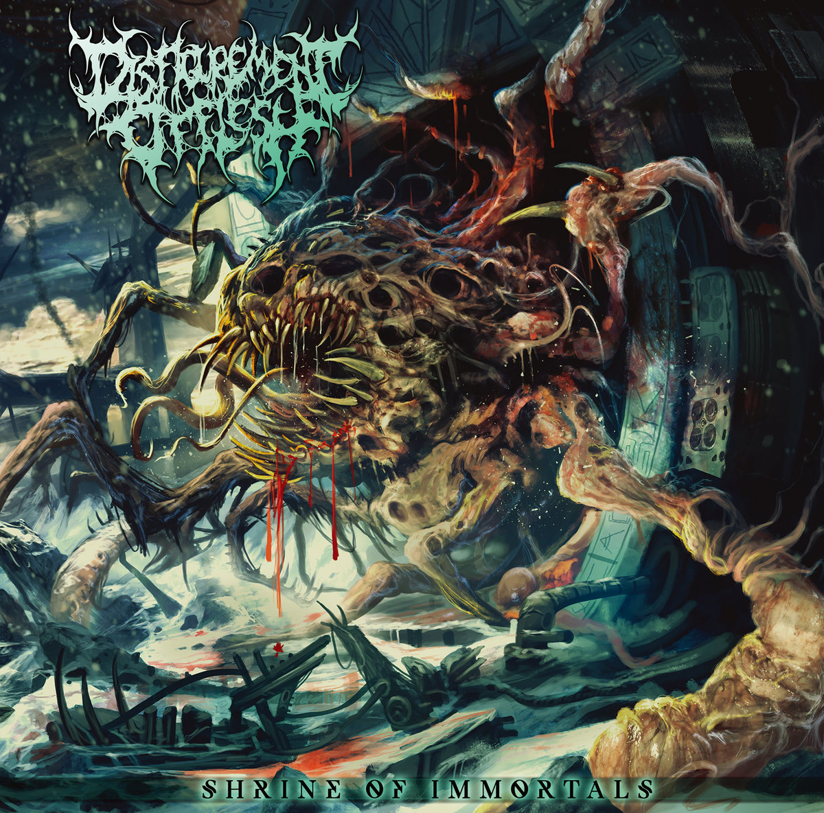 Shrine Of Immortals | Disfigurement Of Flesh | Amputated Vein Records