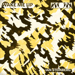 Ian Steinberg - Wake Me Up