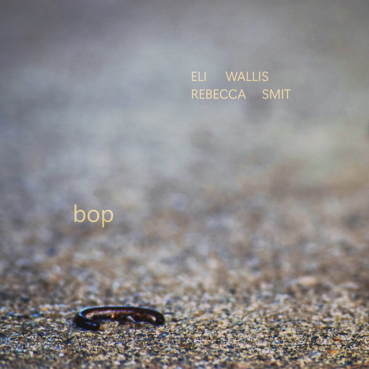 Eli Wallis – bop