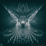 Echo-Mathmatikal