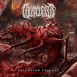 COLPOCLEISIS - Fallopian Fallout