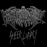 Gravetaker - Gravetaker - Sheer Lunacy