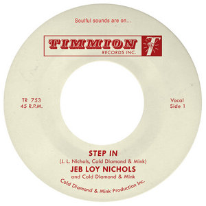 Step In cover