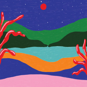 Diet Cig — Night Terrors