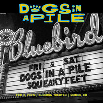 02/16/24 - Bluebird Theater - Denver, CO cover art