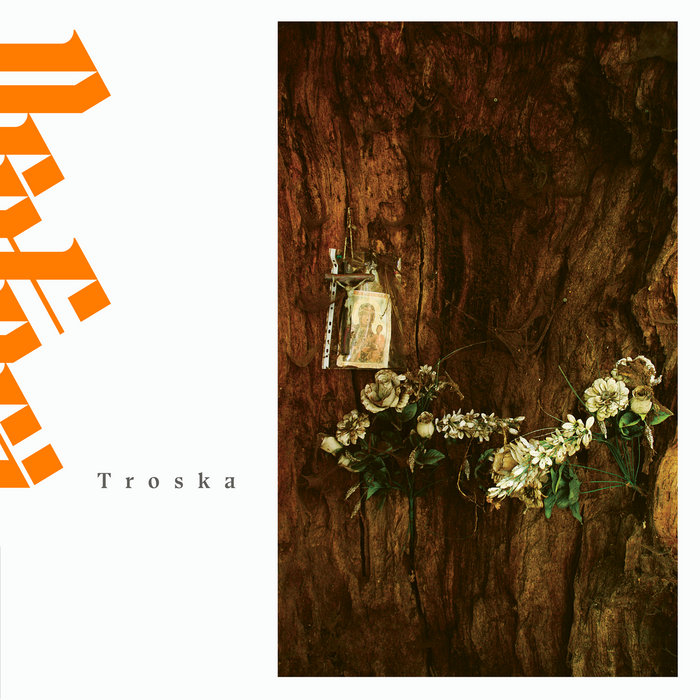 Pochette de Troska par Profeci