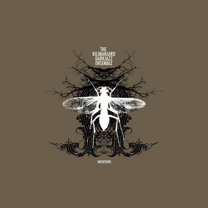 幕男4th  くろ　The Arth×URBAN FOREST 幕男きいろ】幕男4th The Arth×URBAN FOREST Stream urban